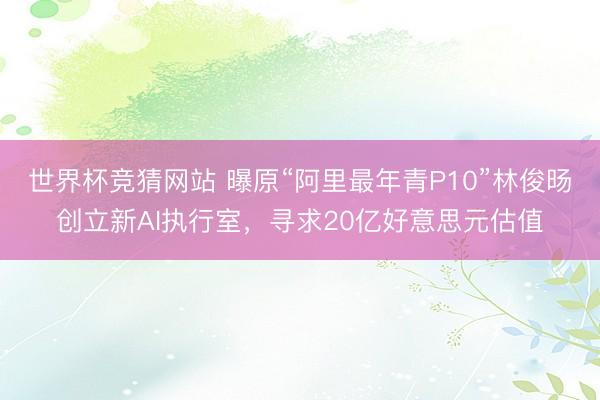 世界杯竞猜网站 曝原“阿里最年青P10”林俊旸创立新AI执行室，寻求20亿好意思元估值