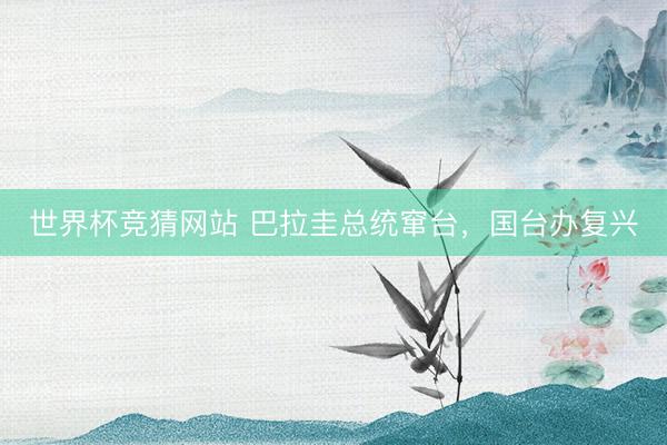 世界杯竞猜网站 巴拉圭总统窜台，国台办复兴
