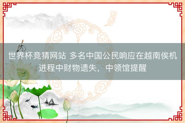 世界杯竞猜网站 多名中国公民响应在越南俟机进程中财物遗失，中领馆提醒