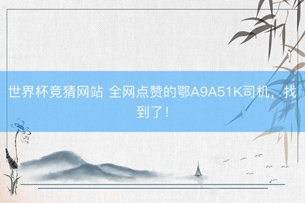 世界杯竞猜网站 全网点赞的鄂A9A51K司机,找到了!