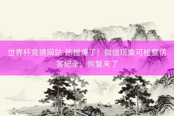 世界杯竞猜网站 热搜爆了！微信现象可检察访客纪录，恢复来了