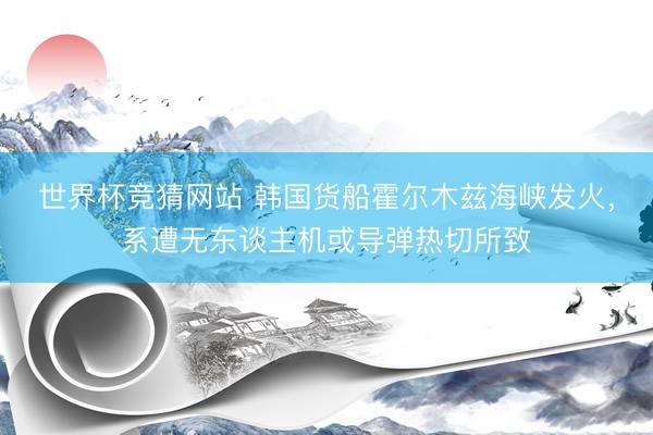 世界杯竞猜网站 韩国货船霍尔木兹海峡发火，系遭无东谈主机或导弹热切所致