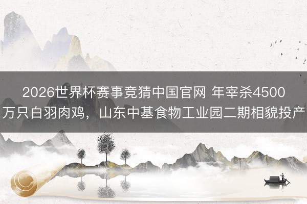 2026世界杯赛事竞猜中国官网 年宰杀4500万只白羽肉鸡，山东中基食物工业园二期相貌投产