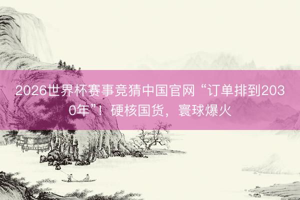 2026世界杯赛事竞猜中国官网 “订单排到2030年”！硬核国货，寰球爆火