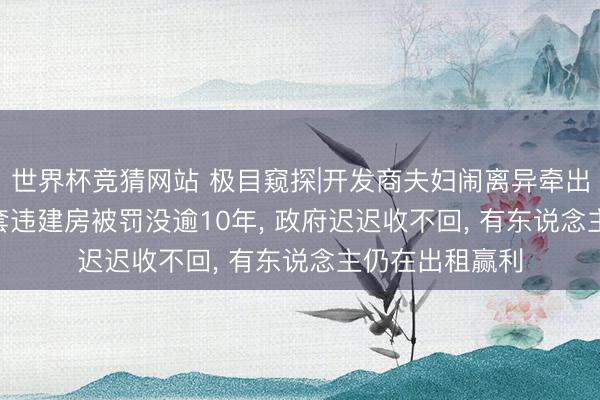 世界杯竞猜网站 极目窥探|开发商夫妇闹离异牵出房产疑团: 19套违建房被罚没逾10年， 政府迟迟收不回， 有东说念主仍在出租赢利