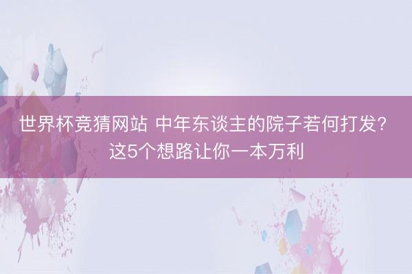 世界杯竞猜网站 中年东谈主的院子若何打发? 这5个想路让你一本万利