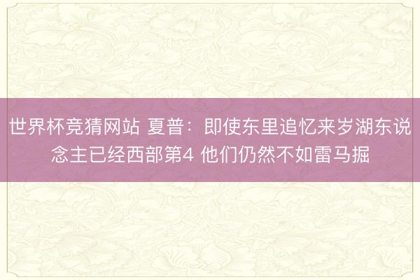世界杯竞猜网站 夏普：即使东里追忆来岁湖东说念主