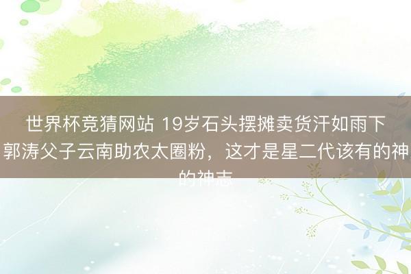 世界杯竞猜网站 19岁石头摆摊卖货汗如雨下！郭涛父子云南助农太圈粉，这才是星二代该有的神志