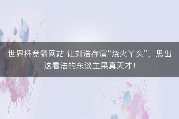 世界杯竞猜网站 让刘浩存演“烧火丫头”，思出这看法的东谈主果真天才！