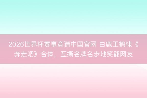 2026世界杯赛事竞猜中国官网 白鹿王鹤棣《奔走吧》合体，互撕名牌名步地笑翻网友